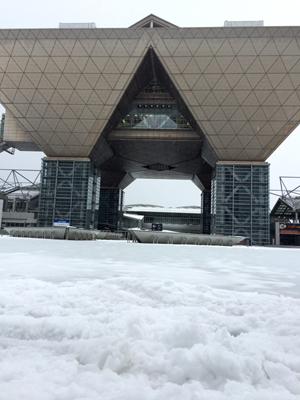 そして土曜日、2週続けて記録的な大雪となった土曜日の東京ビックサイトです。